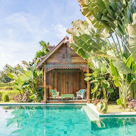 Hati Padi Cottages Ubud Eksteriør billede