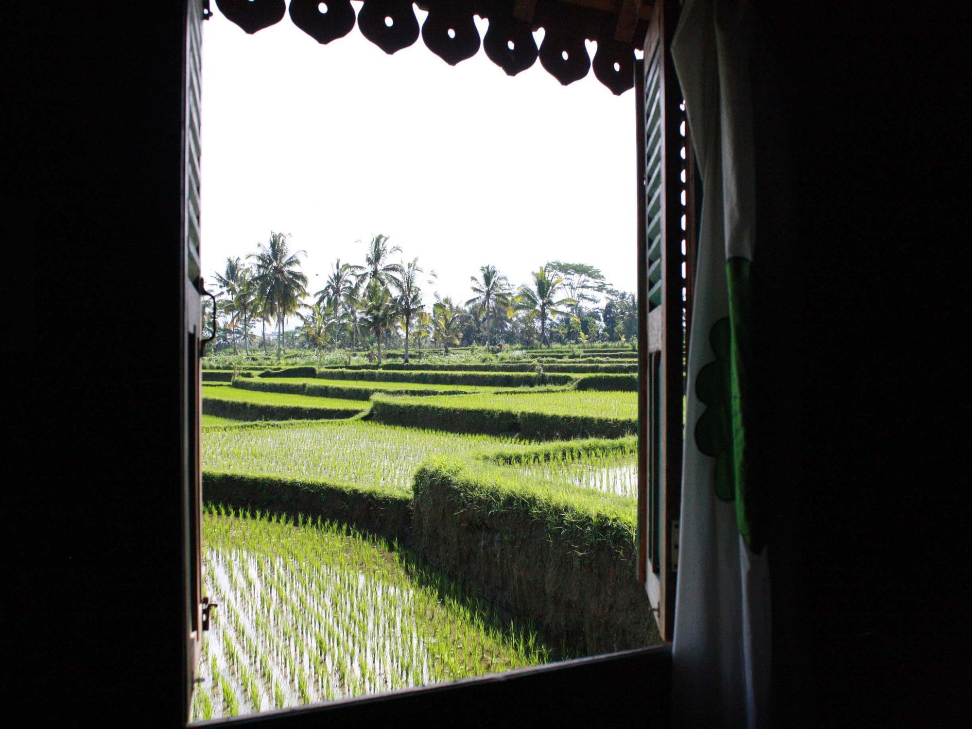 Hati Padi Cottages Ubud Eksteriør billede