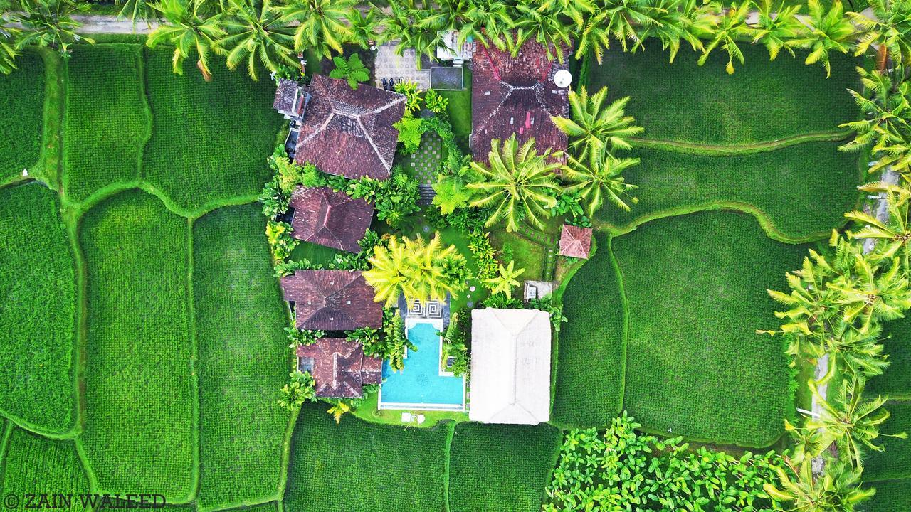 Hati Padi Cottages Ubud Eksteriør billede