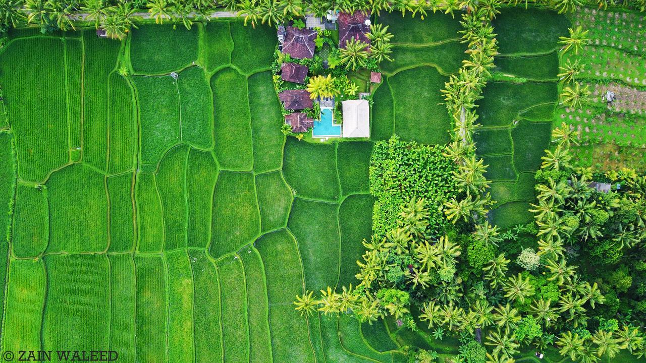 Hati Padi Cottages Ubud Eksteriør billede
