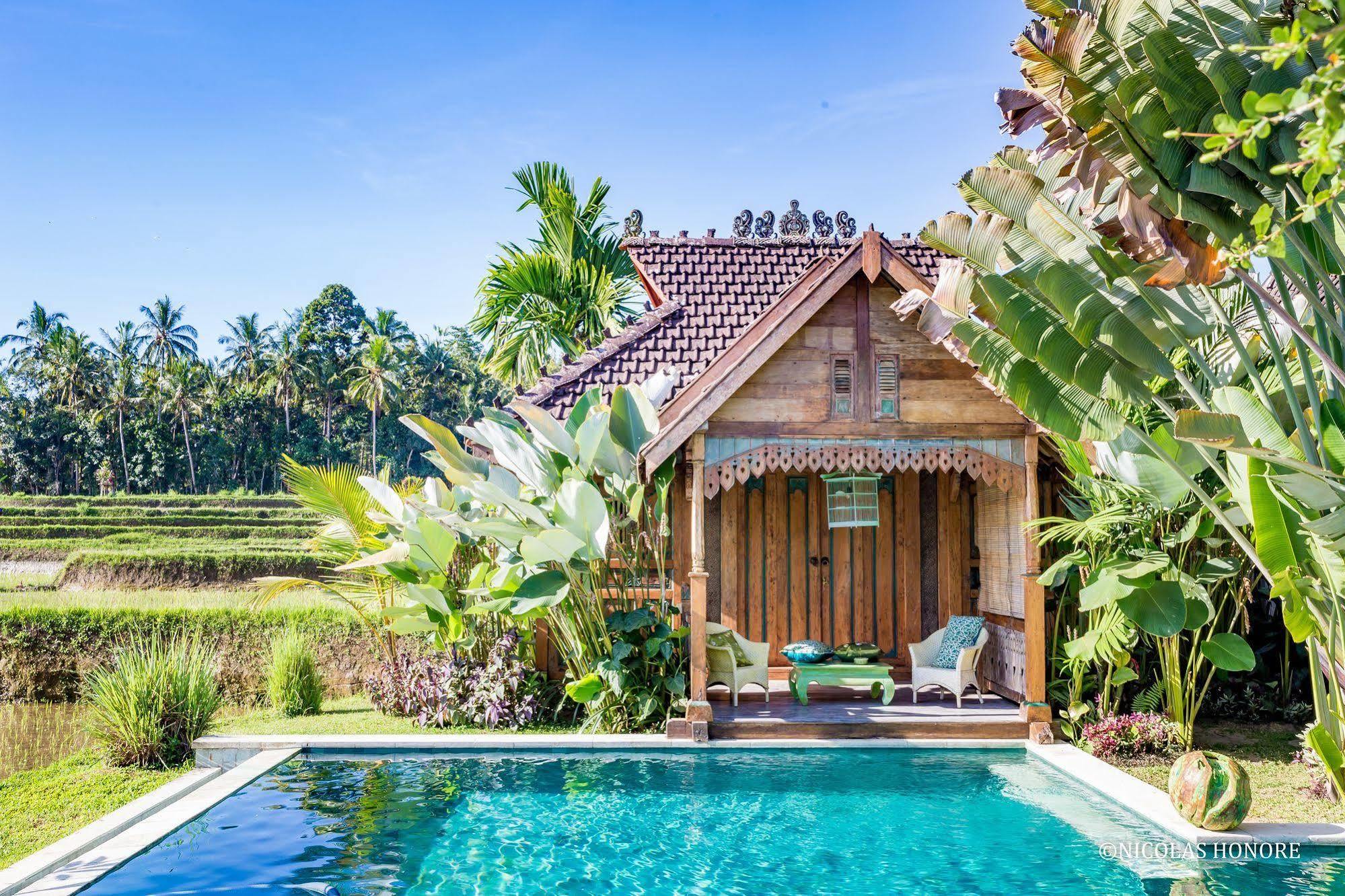 Hati Padi Cottages Ubud Eksteriør billede