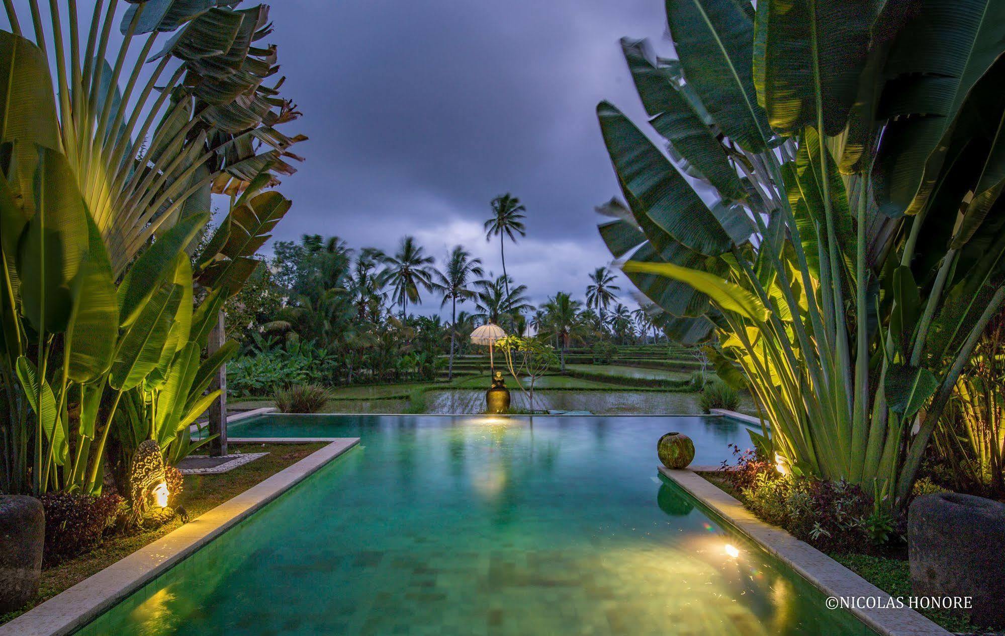 Hati Padi Cottages Ubud Eksteriør billede