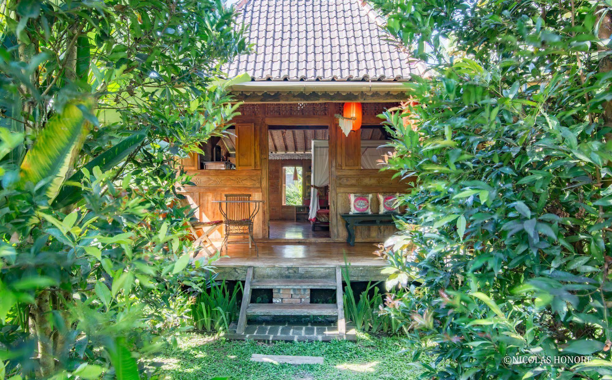 Hati Padi Cottages Ubud Eksteriør billede