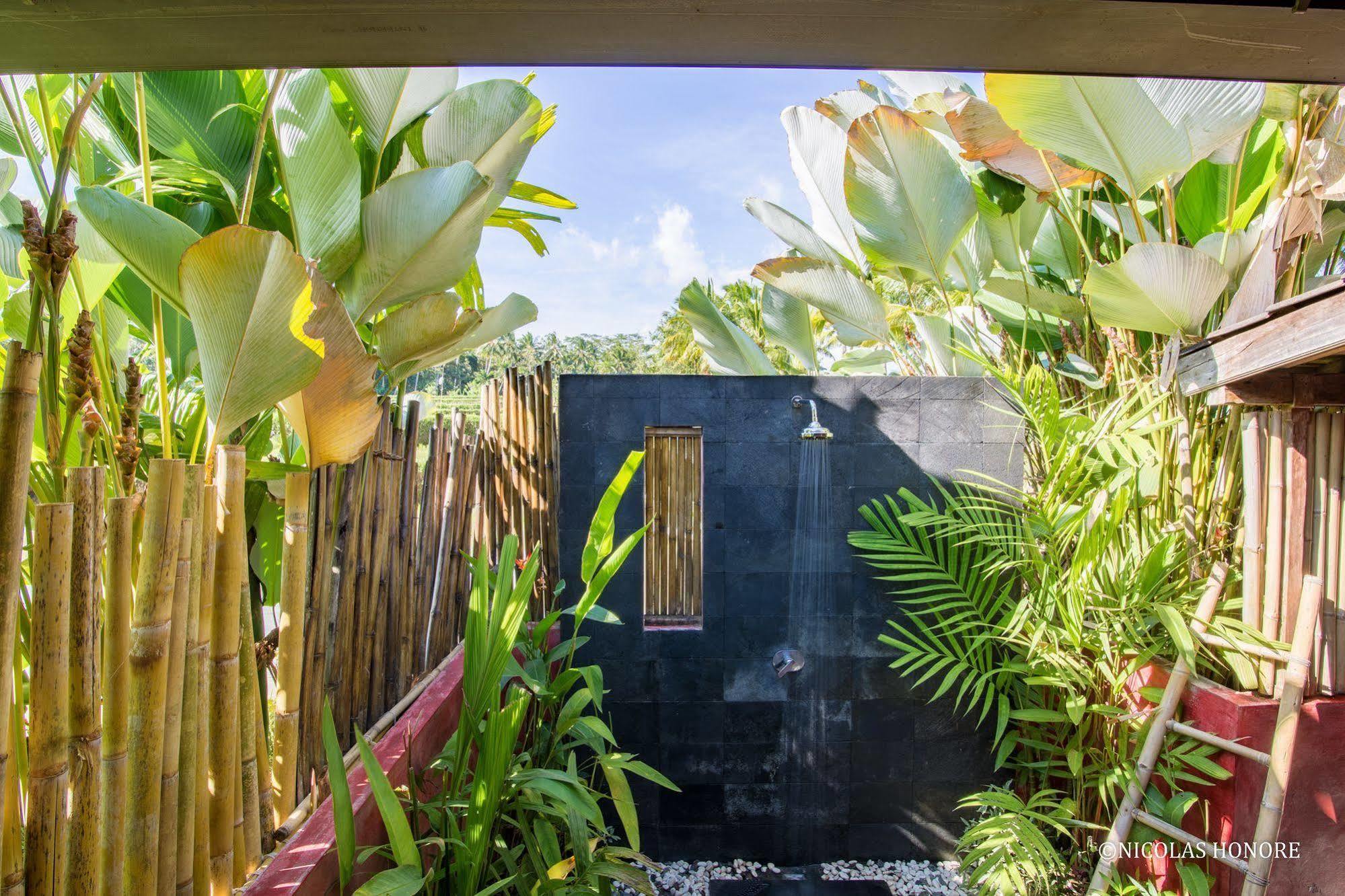 Hati Padi Cottages Ubud Eksteriør billede