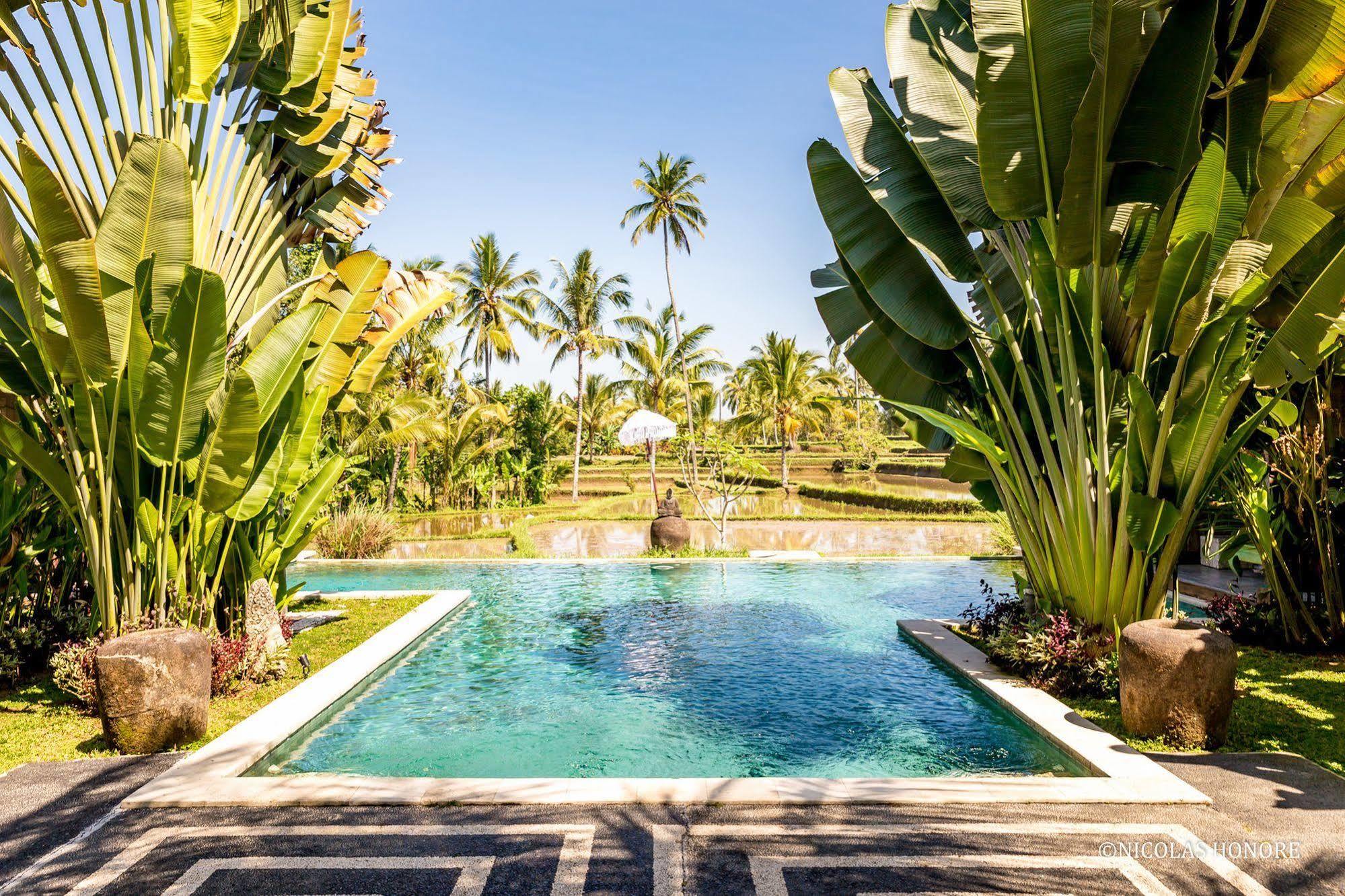 Hati Padi Cottages Ubud Eksteriør billede