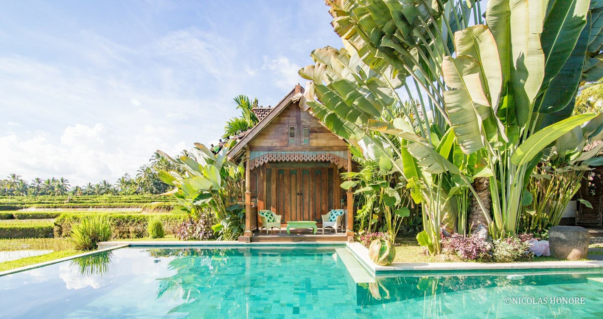 Hati Padi Cottages Ubud Eksteriør billede
